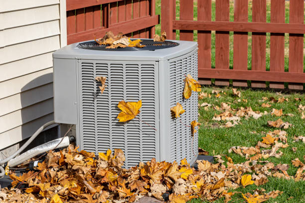 Best Local HVAC Companies  in Lenwood, CA
